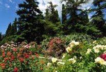Nikitski Botanical Garden & Massandra Palace